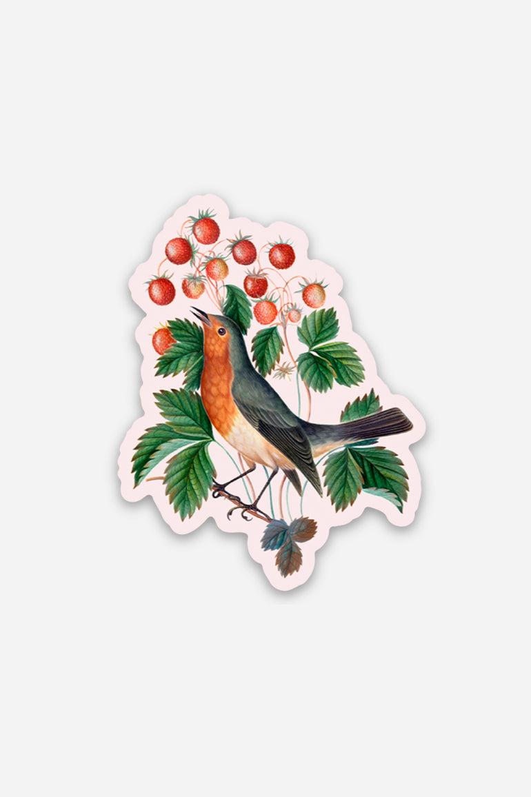 Petit Autocollant 'Determined Robin'