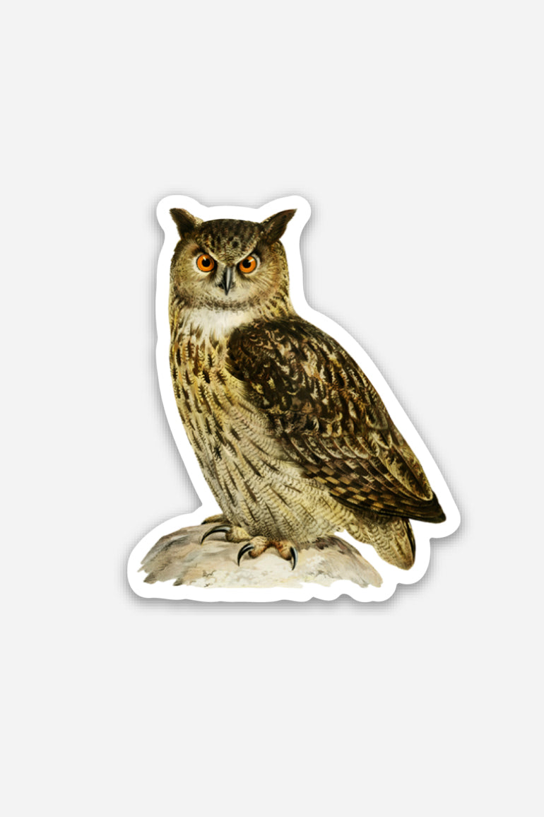 Petit Autocollant 'Disgusted Owl'