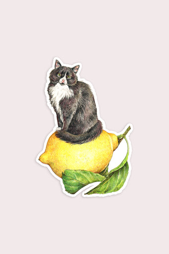 Autocollant 'Lemon Cat'