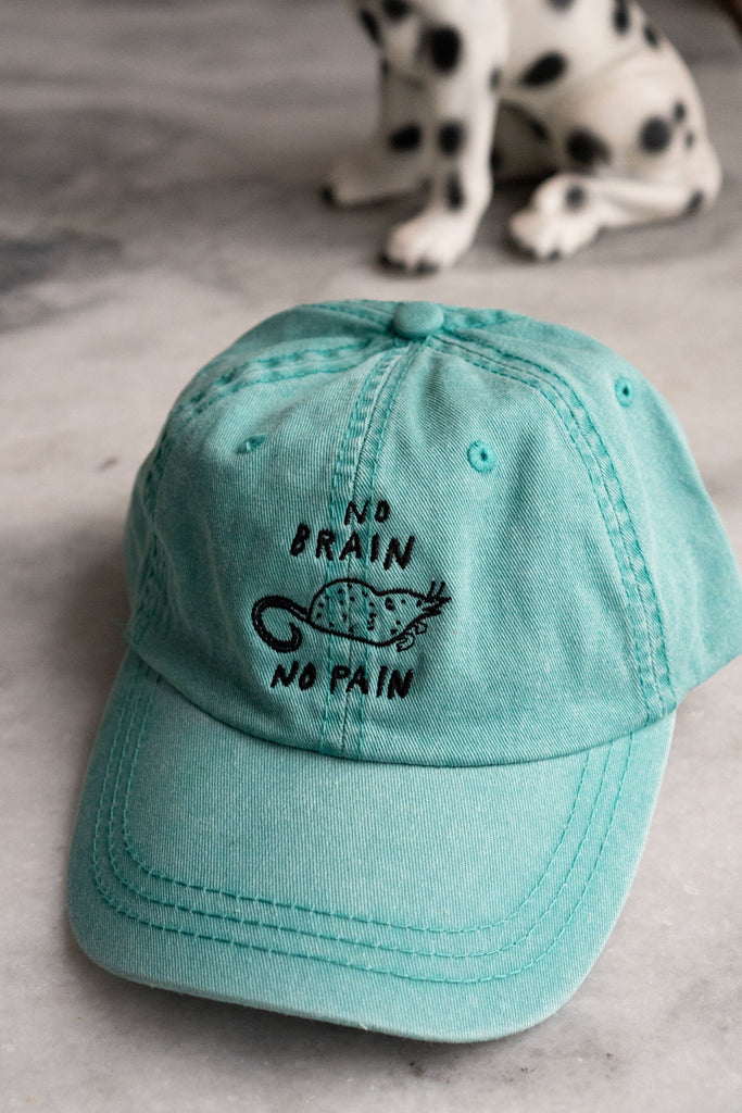 No Brain No Pain Dad Hat