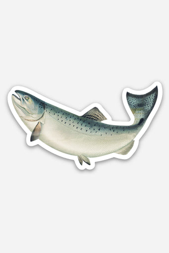 Flippy-Uppy Fish - Gap Filler Sticker