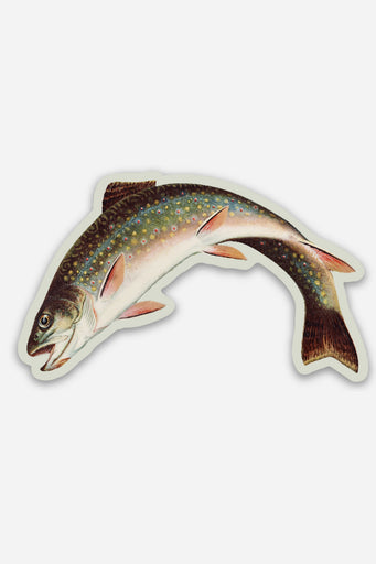 Scandalized Rainbow Trout - Gap Filler Sticker